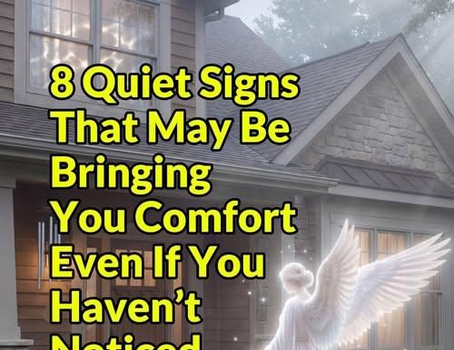 8 Quiet Signs That May Be Bringing You Comfort — Even If You Haven’t Noticed Them Yet. 8 Quiet Signs That May Be Bringing You Comfort — Even If You Haven’t Noticed Them Yet. - featured image
