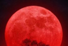 Lunar eclipse on March 5rd: these 3 signs will experience a major turning point Lunar eclipse on March 5rd: these 3 signs will experience a major turning point - featured image