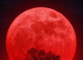 Lunar eclipse on March 5rd: these 3 signs will experience a major turning point Lunar eclipse on March 5rd: these 3 signs will experience a major turning point - featured image