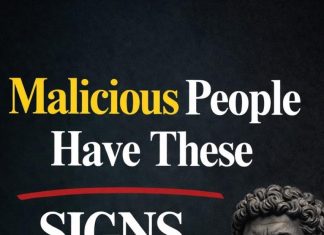 Warning! 10 Clear Signs There’s a Malicious Person by Your Side. Warning! 10 Clear Signs There’s a Malicious Person by Your Side. - featured image