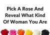 Pick a Rose and Reveal What Kind of Woman You Are Pick a Rose and Reveal What Kind of Woman You Are - featured image