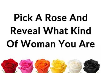 Pick a Rose and Reveal What Kind of Woman You Are Pick a Rose and Reveal What Kind of Woman You Are - featured image