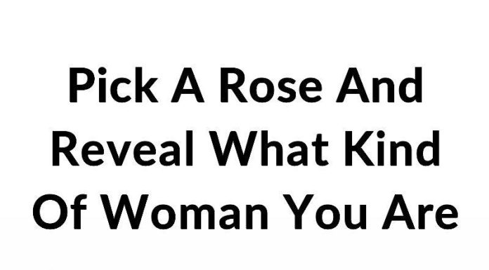 Pick a Rose and Reveal What Kind of Woman You Are Pick a Rose and Reveal What Kind of Woman You Are - featured image