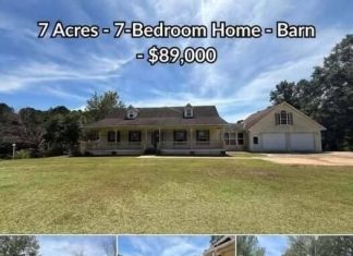7 Acres – 7-Bedroom Home – Barn 7 Acres – 7-Bedroom Home – Barn - featured image