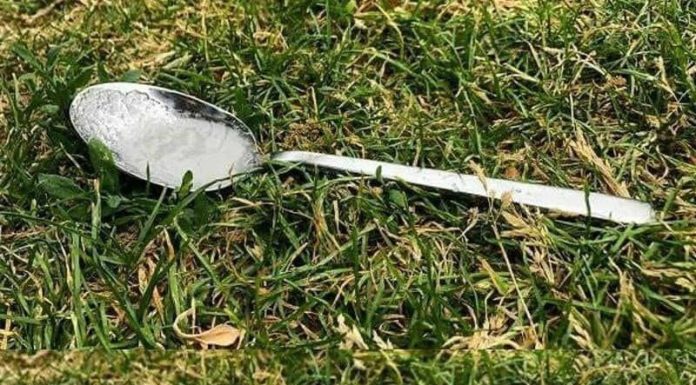 Always Put A Spoon Of Sugar In Your Backyard Before Leaving The House. Here’s Why Always Put A Spoon Of Sugar In Your Backyard Before Leaving The House. Here’s Why - featured image