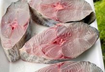 14 Fish You Should Consider Never Eating 14 Fish You Should Consider Never Eating - featured image