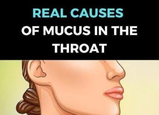How to maintain a healthy level of phlegm and mucus How to maintain a healthy level of phlegm and mucus - featured image