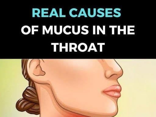 How to maintain a healthy level of phlegm and mucus How to maintain a healthy level of phlegm and mucus - featured image