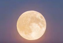 March 9 Tarot Horoscope 2026: this draw announces a crucial choice not to be overlooked for Your Zodiac Sign March 9 Tarot Horoscope 2026: this draw announces a crucial choice not to be overlooked for Your Zodiac Sign - featured image