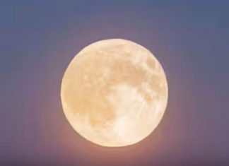 March 9 Tarot Horoscope 2026: this draw announces a crucial choice not to be overlooked for Your Zodiac Sign March 9 Tarot Horoscope 2026: this draw announces a crucial choice not to be overlooked for Your Zodiac Sign - featured image