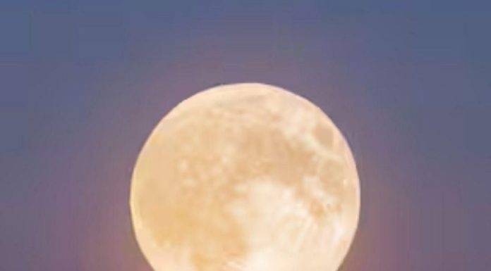 March 9 Tarot Horoscope 2026: this draw announces a crucial choice not to be overlooked for Your Zodiac Sign March 9 Tarot Horoscope 2026: this draw announces a crucial choice not to be overlooked for Your Zodiac Sign - featured image