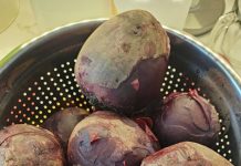 Doctors reveal that eating beets causes… Doctors reveal that eating beets causes… - featured image