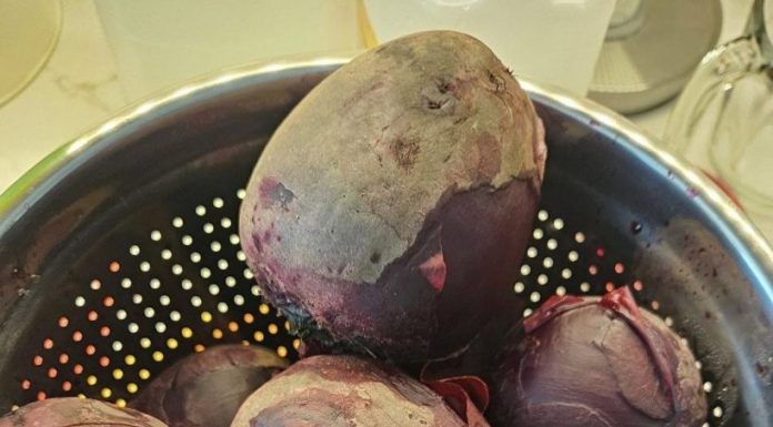 Doctors reveal that eating beets causes… Doctors reveal that eating beets causes… - featured image