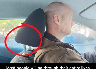 Why are car headrests equipped with metal rods? — A safety feature often overlooked by drivers Why are car headrests equipped with metal rods? — A safety feature often overlooked by drivers - featured image