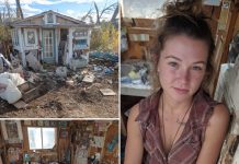 Recently divorced woman moves into 10’x11′ shed and coverts it into lovely tiny home Recently divorced woman moves into 10’x11′ shed and coverts it into lovely tiny home - featured image