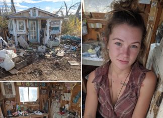 Recently divorced woman moves into 10’x11′ shed and coverts it into lovely tiny home Recently divorced woman moves into 10’x11′ shed and coverts it into lovely tiny home - featured image