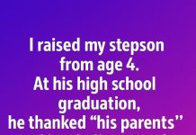 Tiny House Zone Tiny House Zone - featured image