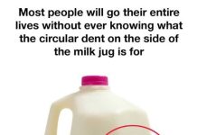 The Real Purpose Behind the Circular Dent on Milk Jugs The Real Purpose Behind the Circular Dent on Milk Jugs - featured image