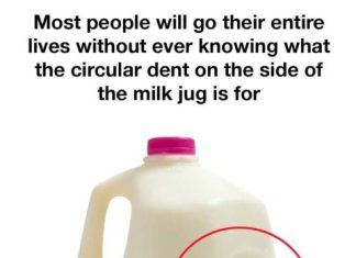 The Real Purpose Behind the Circular Dent on Milk Jugs The Real Purpose Behind the Circular Dent on Milk Jugs - featured image