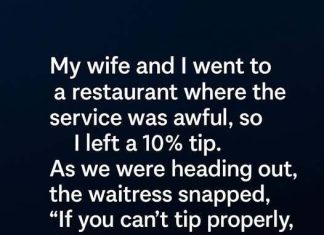 When a Simple Thoughtfulness Lifted the Evening When a Simple Thoughtfulness Lifted the Evening - featured image