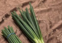Scallions, Green Onions, Spring Onions, and Chives Explained Simply Scallions, Green Onions, Spring Onions, and Chives Explained Simply - featured image