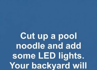 Transforming a Simple Pool Noodle into a Glowing Backyard Feature That Reimagines Outdoor Living Through Light, Color, Creativity, and Budget-Friendly DIY Design, Turning Ordinary Nights into Magical, Family-Friendly Experiences Filled with Warmth, Connection, Imagination, and Eye-Catching Outdoor Ambiance Everyone Can Enjoy Together Transforming a Simple Pool Noodle into a Glowing Backyard Feature That Reimagines Outdoor Living Through Light, Color, Creativity, and Budget-Friendly DIY Design, Turning Ordinary Nights into Magical, Family-Friendly Experiences Filled with Warmth, Connection, Imagination, and Eye-Catching Outdoor Ambiance Everyone Can Enjoy Together - featured image