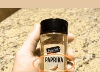 You’ll Never Guess What Paprika Is Really Made Of — and Why It’s So Good for You: Uncover the Surprising Origin of This Popular Spice, Its Powerful Health Benefits, and How Just a Sprinkle Can Boost Flavor, Metabolism, and Overall Wellness You’ll Never Guess What Paprika Is Really Made Of — and Why It’s So Good for You: Uncover the Surprising Origin of This Popular Spice, Its Powerful Health Benefits, and How Just a Sprinkle Can Boost Flavor, Metabolism, and Overall Wellness - featured image