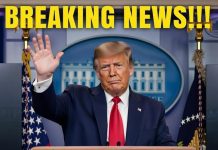 Law Enforcement Confirms Arrest After Months-Long Investigation Law Enforcement Confirms Arrest After Months-Long Investigation - featured image