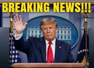 Law Enforcement Confirms Arrest After Months-Long Investigation Law Enforcement Confirms Arrest After Months-Long Investigation - featured image