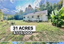 31-Acre Rural Property with Farmhouse and Development Potential in Blaine, Kentucky 31-Acre Rural Property with Farmhouse and Development Potential in Blaine, Kentucky - featured image