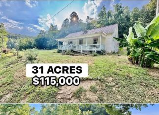 31-Acre Rural Property with Farmhouse and Development Potential in Blaine, Kentucky 31-Acre Rural Property with Farmhouse and Development Potential in Blaine, Kentucky - featured image