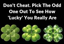 Don’t Ch:eat. Pick The Odd One Out To See How ‘Lucky’ You Really Are Don’t Ch:eat. Pick The Odd One Out To See How ‘Lucky’ You Really Are - featured image