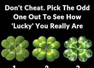 Don’t Ch:eat. Pick The Odd One Out To See How ‘Lucky’ You Really Are Don’t Ch:eat. Pick The Odd One Out To See How ‘Lucky’ You Really Are - featured image