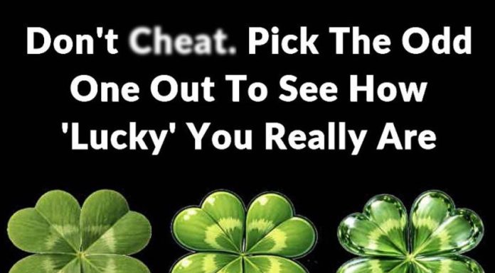 Don’t Ch:eat. Pick The Odd One Out To See How ‘Lucky’ You Really Are Don’t Ch:eat. Pick The Odd One Out To See How ‘Lucky’ You Really Are - featured image
