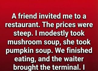 When a Dinner Bill Became a Lesson in Respect and Friendship When a Dinner Bill Became a Lesson in Respect and Friendship - featured image