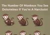 The Number Of Monkeys You See Determines If You’re A Narcissist The Number Of Monkeys You See Determines If You’re A Narcissist - featured image
