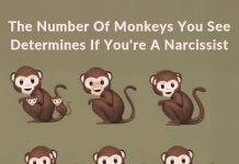 The Number Of Monkeys You See Determines If You’re A Narcissist The Number Of Monkeys You See Determines If You’re A Narcissist - featured image