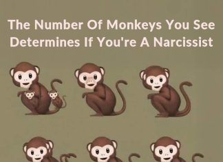 The Number Of Monkeys You See Determines If You’re A Narcissist The Number Of Monkeys You See Determines If You’re A Narcissist - featured image