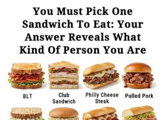 You Must Pick One Sandwich to Eat: Your Choice Reveals Your Personality You Must Pick One Sandwich to Eat: Your Choice Reveals Your Personality - featured image