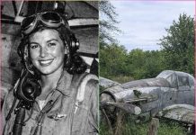 Fighter Pilot Vanished in 1944, 70 Years Later, Her Plane Was Found in a Forest! Fighter Pilot Vanished in 1944, 70 Years Later, Her Plane Was Found in a Forest! - featured image