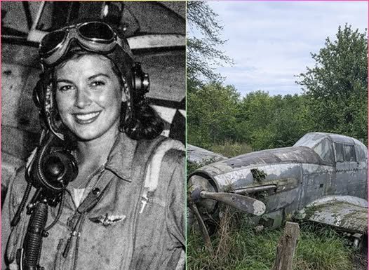 Fighter Pilot Vanished in 1944, 70 Years Later, Her Plane Was Found in a Forest! Fighter Pilot Vanished in 1944, 70 Years Later, Her Plane Was Found in a Forest! - featured image