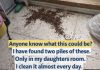 Mom Discovers Unusual Piles in Daughter’s Room — Internet Quickly Explains Mom Discovers Unusual Piles in Daughter’s Room — Internet Quickly Explains - featured image