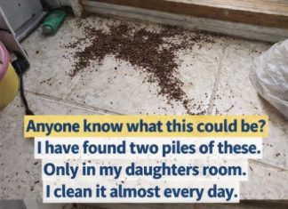 Mom Discovers Unusual Piles in Daughter’s Room — Internet Quickly Explains Mom Discovers Unusual Piles in Daughter’s Room — Internet Quickly Explains - featured image