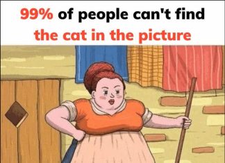 Can You Spot the Hidden Cat in This Viral Image? 99% of People Miss that. Can You Spot the Hidden Cat in This Viral Image? 99% of People Miss that. - featured image