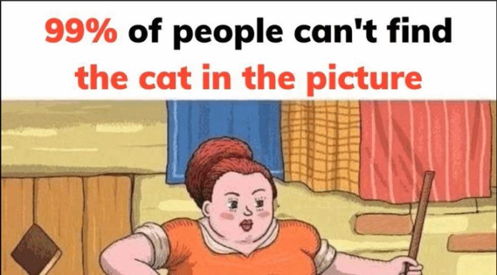 Can You Spot the Hidden Cat in This Viral Image? 99% of People Miss that. Can You Spot the Hidden Cat in This Viral Image? 99% of People Miss that. - featured image