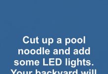 Creative Way to Transform a Pool Noodle into Outdoor Decor Creative Way to Transform a Pool Noodle into Outdoor Decor - featured image