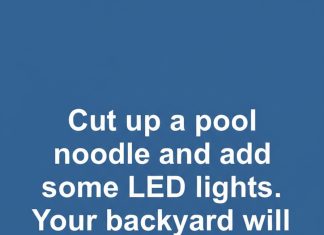 Creative Way to Transform a Pool Noodle into Outdoor Decor Creative Way to Transform a Pool Noodle into Outdoor Decor - featured image