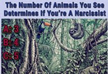 This Jungle Puzzle Claims the Animals You See Reveal Your Traits This Jungle Puzzle Claims the Animals You See Reveal Your Traits - featured image