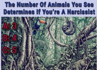 This Jungle Puzzle Claims the Animals You See Reveal Your Traits This Jungle Puzzle Claims the Animals You See Reveal Your Traits - featured image