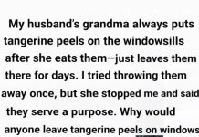 Why You Should Place Tangerine Peels on Your Windowsill Why You Should Place Tangerine Peels on Your Windowsill - featured image